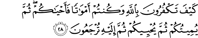 Surah Al Baqarah 28